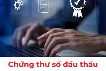 Chứng thư số đấu thầu
