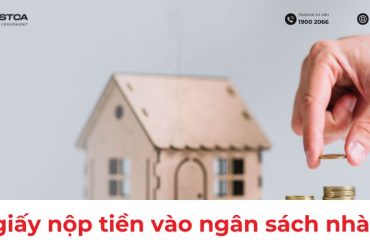 mẫu giấy nộp tiền vào ngân sách nhà nước