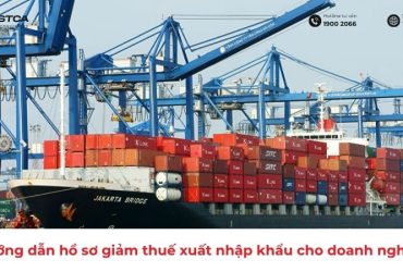 Hướng dẫn hồ sơ giảm thuế xuất nhập khẩu cho doanh nghiệp
