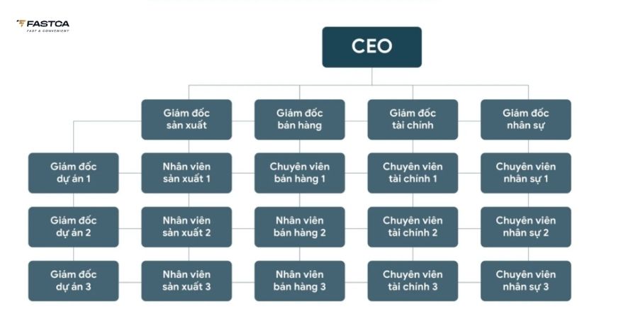 Mô hình cơ cấu tổ chức theo cấu trúc ma trận