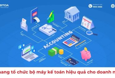 Cẩm nang tổ chức bộ máy kế toán hiệu quả cho doanh nghiệp