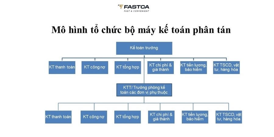 mô hình tổ chức bộ máy kế toán phân tán