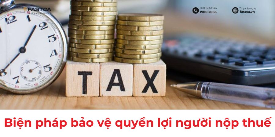 Tổng cục Thuế yêu cầu các Cục Thuế tăng cường giải pháp bảo vệ quyền lợi người nộp thuế
