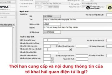 Thời hạn cung cấp và nội dung thông tin của tờ khai hải quan điện tử là gì?