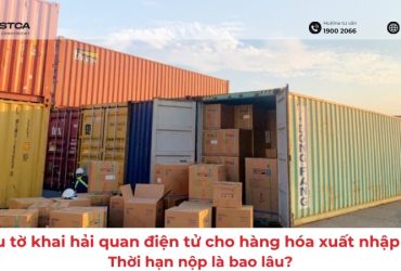 2 mẫu tờ khai hải quan điện tử cho hàng hóa xuất nhập khẩu: Thời hạn nộp là bao lâu?
