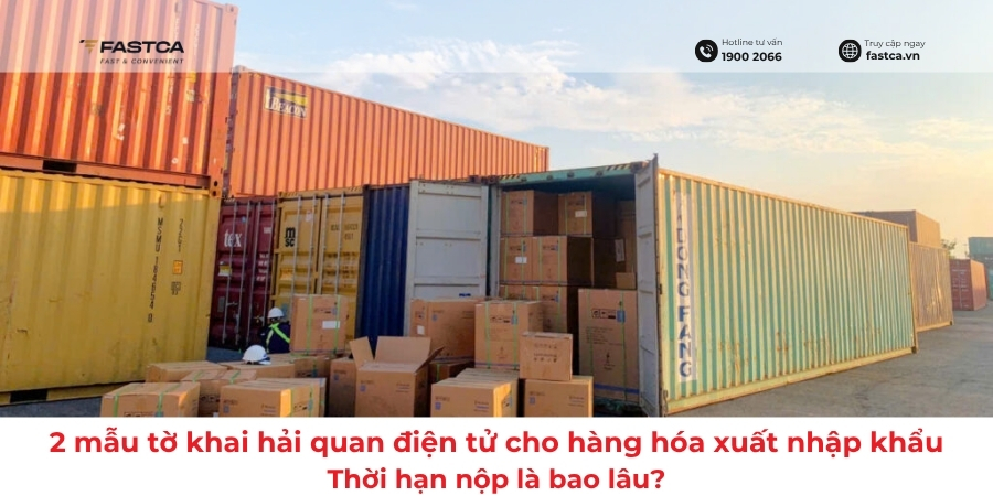 2 mẫu tờ khai hải quan điện tử cho hàng hóa xuất nhập khẩu: Thời hạn nộp là bao lâu?