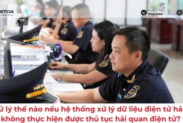 Phải xử lý thế nào nếu hệ thống xử lý dữ liệu điện tử hải quan không thực hiện được thủ tục hải quan điện tử?