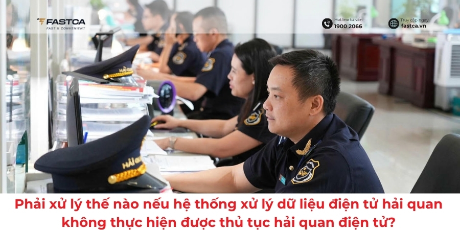 Phải xử lý thế nào nếu hệ thống xử lý dữ liệu điện tử hải quan không thực hiện được thủ tục hải quan điện tử?