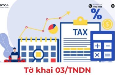 tờ khai 03/tndn