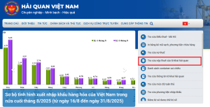 tra cứu nộp thuế tờ khai hải