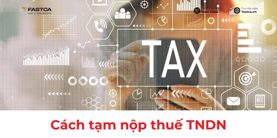 Quy trình tạm nộp thuế TNDN quý IV năm 2025 dành cho doanh nghiệp