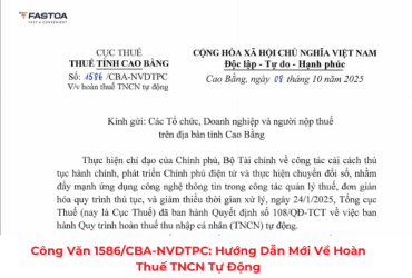 hoàn thuế tncn tự động