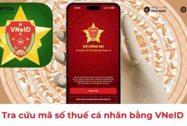 tra-cuu-ma-so-thue-ca-nhan-bang-vneid