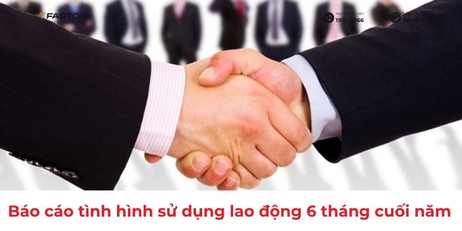 báo cáo tình hình sử dụng lao động 6 tháng cuối năm