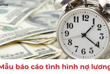 mẫu báo cáo tình hình nợ lương