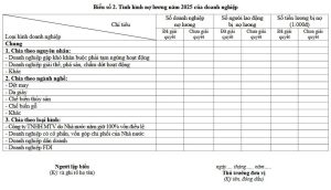 Mẫu báo cáo tình hình nợ lương
