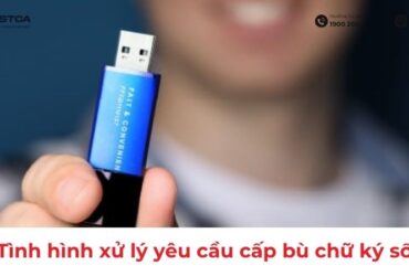 tinh-hinh-xu-ly-yeu-cau-cap-bu-chu-ky-so