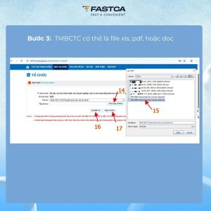nộp báo cáo tài chính