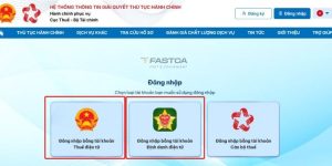 Nộp báo cáo tài chính