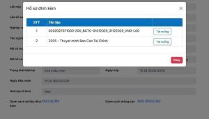 báo cáo tài chính