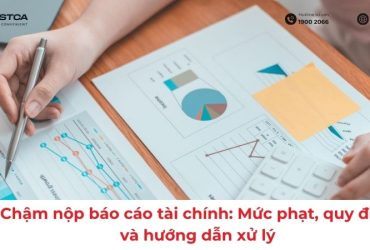 chậm nộp báo cáo tài chính
