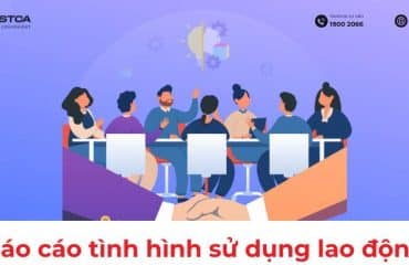 báo cáo tình hình sử dụng lao động