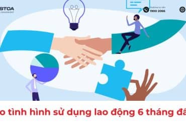 báo cáo tình hình sử dụng lao động 6 tháng đầu năm