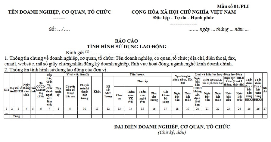 Mẫu số 01/PLI báo cáo tình hình lao động 