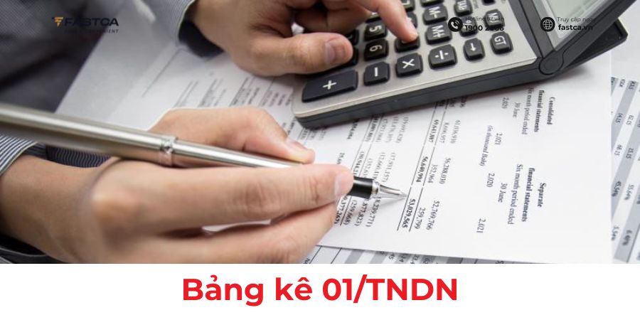 bảng kê 01/tndn