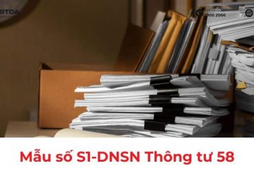 mẫu sổ s1-dnsn
