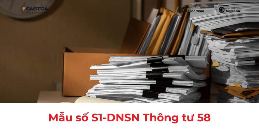mẫu sổ s1-dnsn