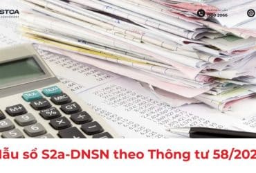 mẫu sổ s2a-dnsn