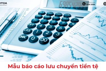 mẫu báo cáo lưu chuyển tiền tệ