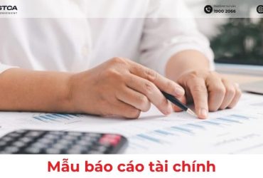 mẫu báo cáo tài chính