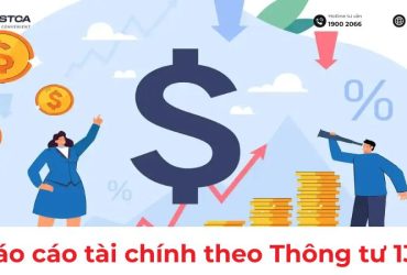 mẫu báo cáo tài chính theo thông tư 133