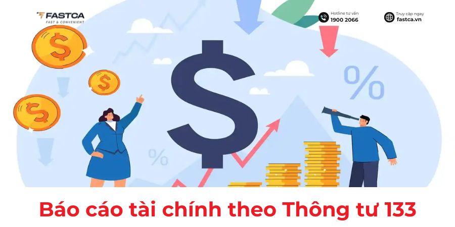 mẫu báo cáo tài chính theo thông tư 133
