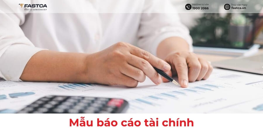 mẫu báo cáo tài chính