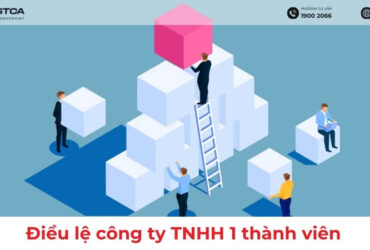 điều lệ công ty tnhh 1 thành viên
