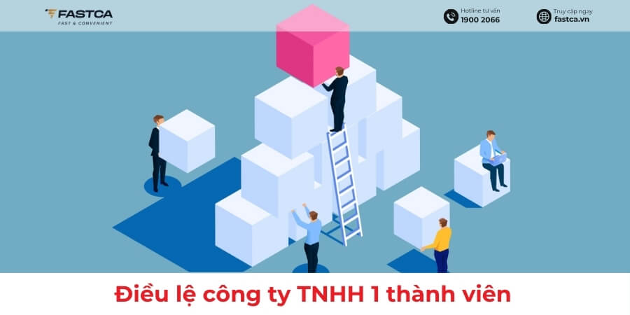 điều lệ công ty tnhh 1 thành viên