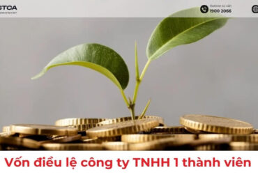 vốn điều lệ công ty tnhh 1 thành viên