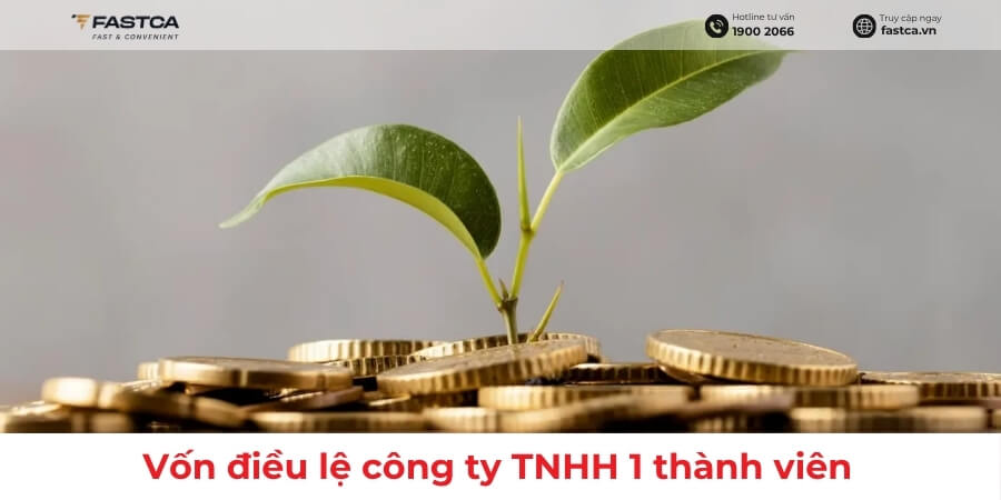 vốn điều lệ công ty tnhh 1 thành viên