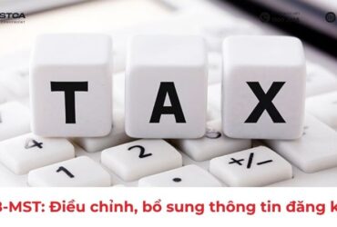 mẫu 08-mst