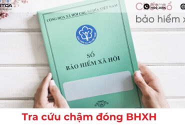 Tra cứu chậm đóng BHXH: Cách kiểm tra và xử lý mới nhất