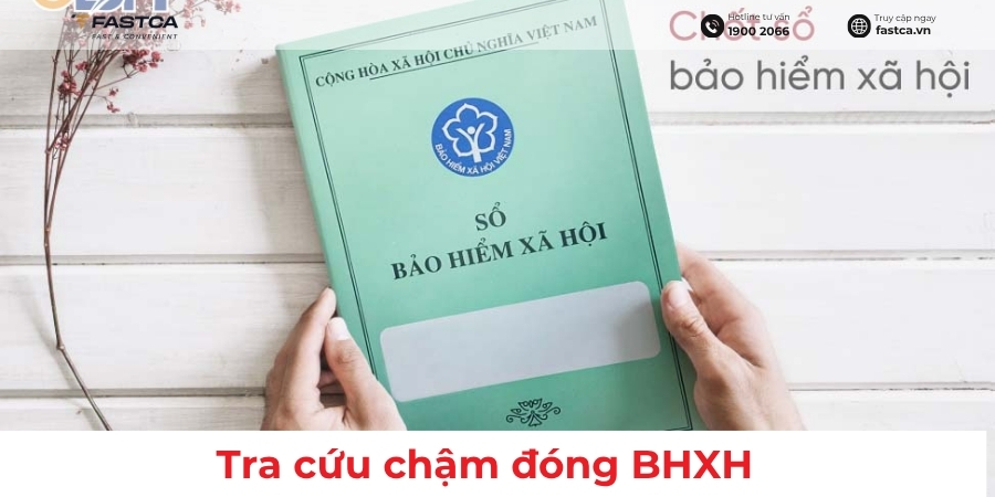 Tra cứu chậm đóng BHXH: Cách kiểm tra và xử lý mới nhất
