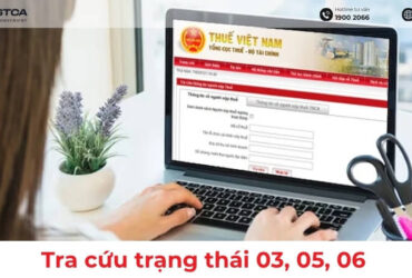 Hướng dẫn tra cứu trạng thái 03, 05, 06 mã số thuế chi tiết