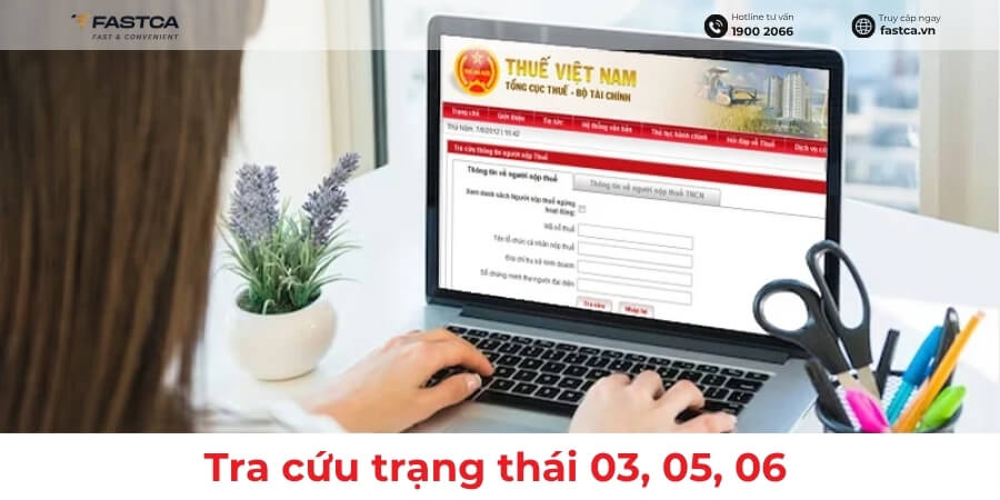 Hướng dẫn tra cứu trạng thái 03, 05, 06 mã số thuế chi tiết